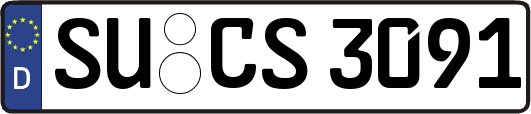 SU-CS3091