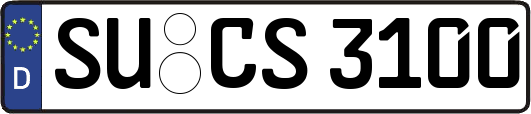 SU-CS3100