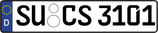 SU-CS3101