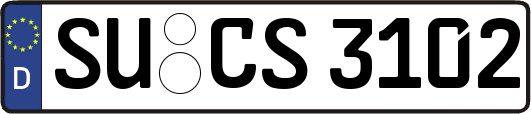 SU-CS3102