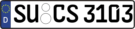 SU-CS3103