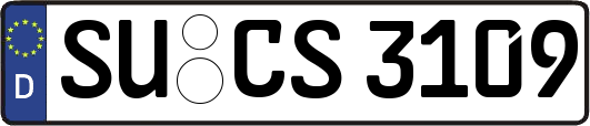 SU-CS3109