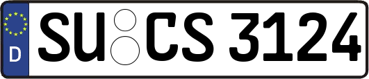 SU-CS3124