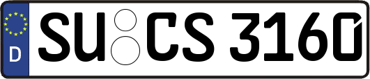 SU-CS3160