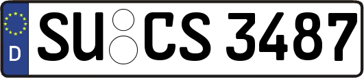 SU-CS3487