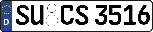 SU-CS3516