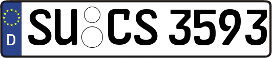 SU-CS3593