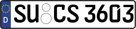 SU-CS3603