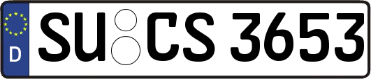 SU-CS3653