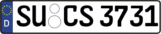 SU-CS3731