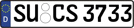 SU-CS3733