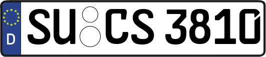 SU-CS3810