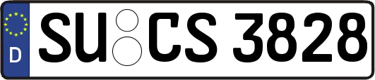 SU-CS3828