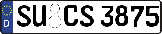 SU-CS3875