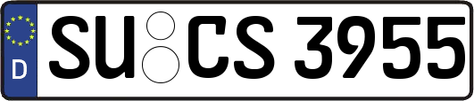 SU-CS3955
