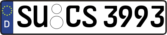 SU-CS3993