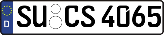 SU-CS4065