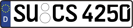 SU-CS4250