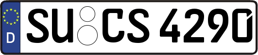 SU-CS4290