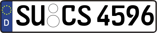 SU-CS4596