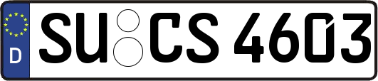 SU-CS4603