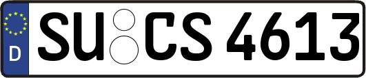 SU-CS4613