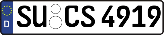 SU-CS4919