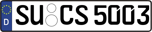 SU-CS5003