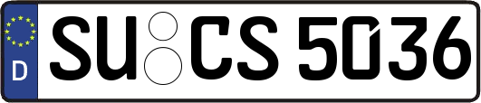 SU-CS5036
