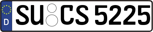 SU-CS5225