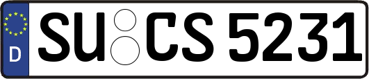 SU-CS5231