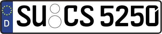 SU-CS5250