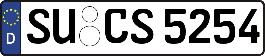SU-CS5254
