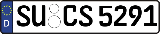 SU-CS5291