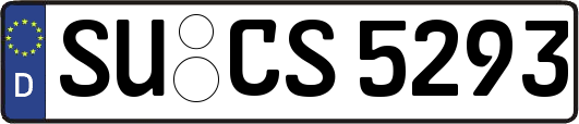 SU-CS5293
