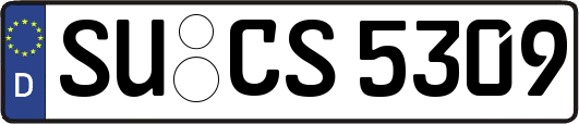 SU-CS5309