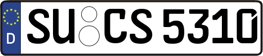 SU-CS5310