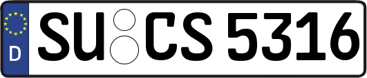 SU-CS5316