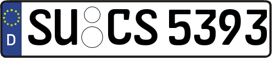SU-CS5393