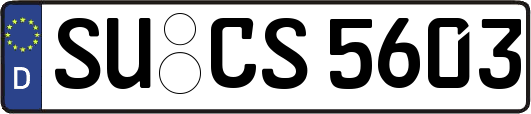 SU-CS5603
