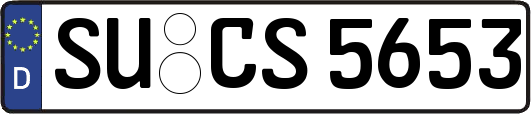 SU-CS5653