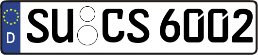 SU-CS6002