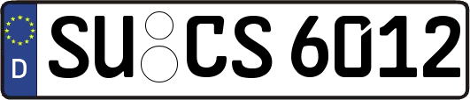 SU-CS6012