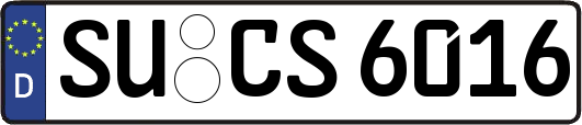 SU-CS6016