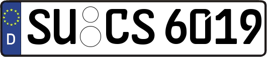 SU-CS6019