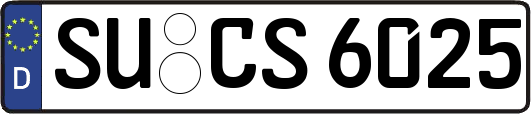 SU-CS6025