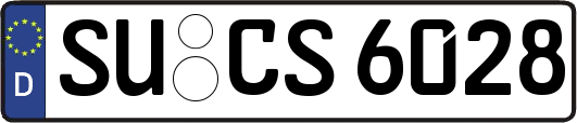 SU-CS6028