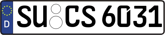 SU-CS6031