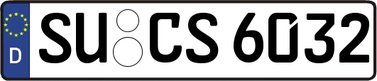 SU-CS6032