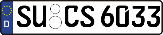 SU-CS6033